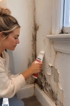 A woman holds the compact wall repair product